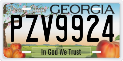 GA license plate PZV9924