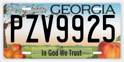 GA license plate PZV9925