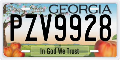 GA license plate PZV9928