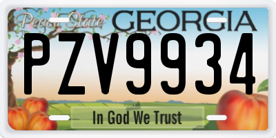 GA license plate PZV9934