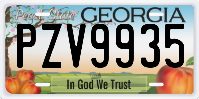 GA license plate PZV9935