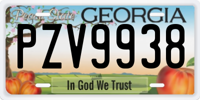 GA license plate PZV9938