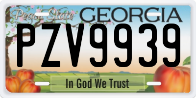 GA license plate PZV9939