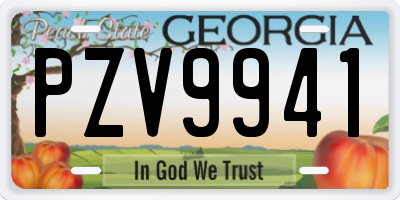 GA license plate PZV9941