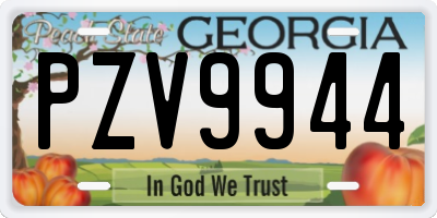 GA license plate PZV9944