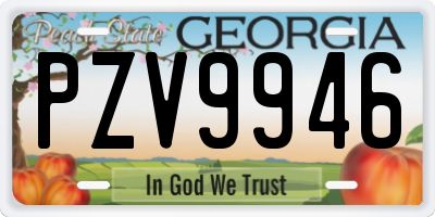 GA license plate PZV9946