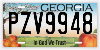 GA license plate PZV9948