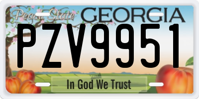 GA license plate PZV9951