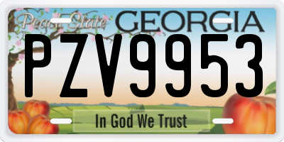 GA license plate PZV9953