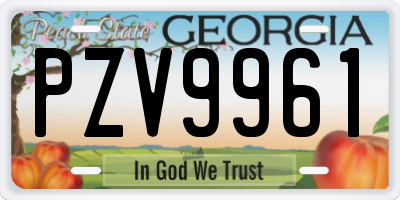 GA license plate PZV9961