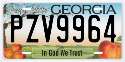 GA license plate PZV9964