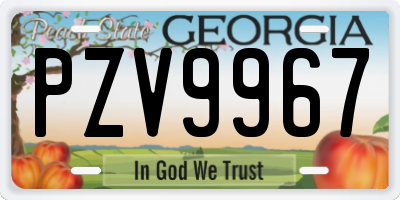 GA license plate PZV9967