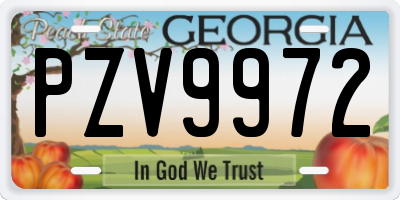 GA license plate PZV9972