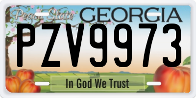 GA license plate PZV9973