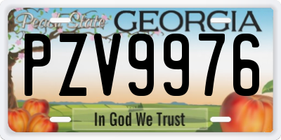 GA license plate PZV9976