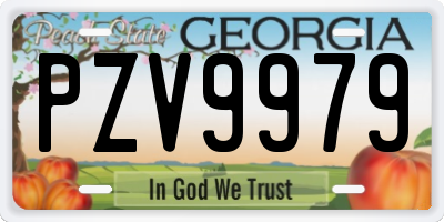 GA license plate PZV9979