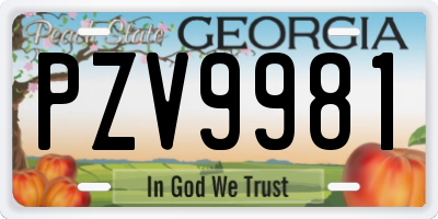 GA license plate PZV9981