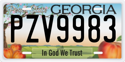GA license plate PZV9983