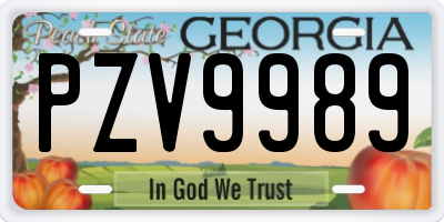 GA license plate PZV9989