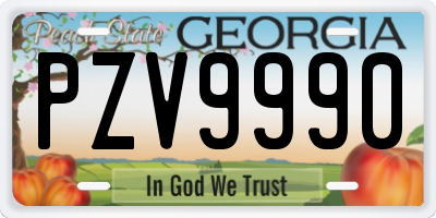 GA license plate PZV9990