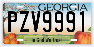GA license plate PZV9991