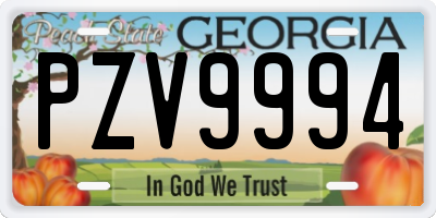 GA license plate PZV9994