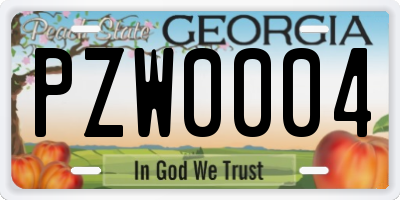GA license plate PZW0004