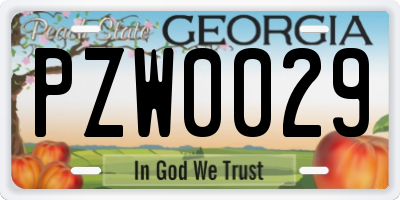 GA license plate PZW0029