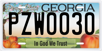 GA license plate PZW0030