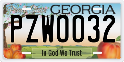 GA license plate PZW0032