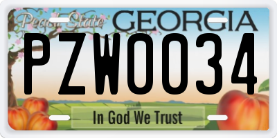 GA license plate PZW0034
