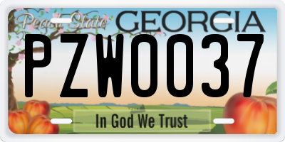 GA license plate PZW0037