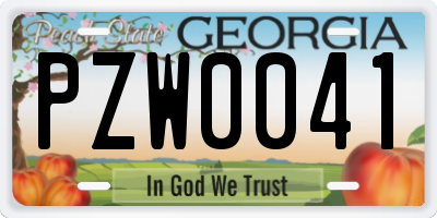 GA license plate PZW0041