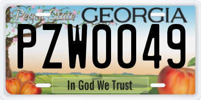 GA license plate PZW0049
