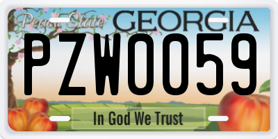 GA license plate PZW0059
