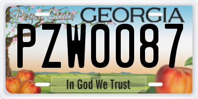 GA license plate PZW0087