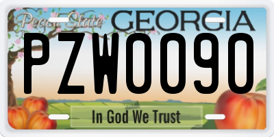 GA license plate PZW0090