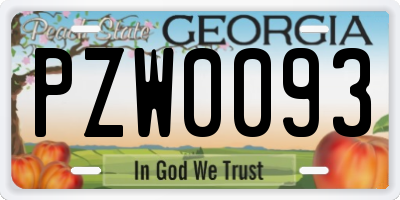 GA license plate PZW0093