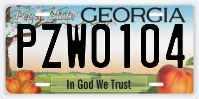 GA license plate PZW0104