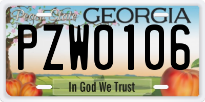 GA license plate PZW0106