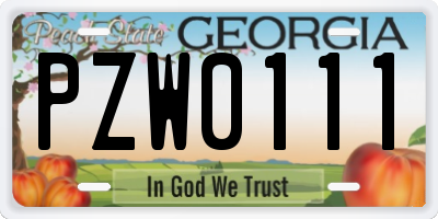 GA license plate PZW0111