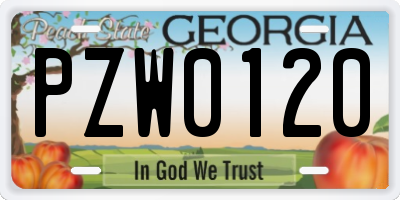GA license plate PZW0120