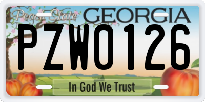 GA license plate PZW0126