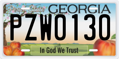 GA license plate PZW0130