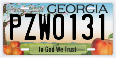 GA license plate PZW0131