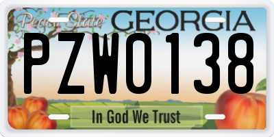 GA license plate PZW0138