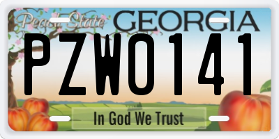 GA license plate PZW0141