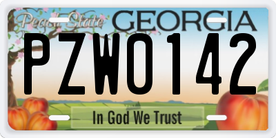 GA license plate PZW0142
