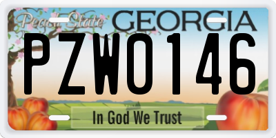 GA license plate PZW0146