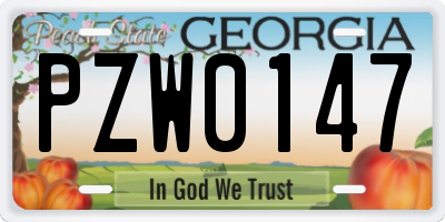 GA license plate PZW0147